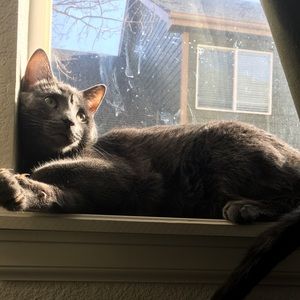 Meet your Posher, Delaney